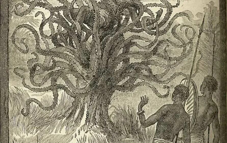 Дерево людоед с темного. Мифология дерево людоед. Растение людоед арт.
