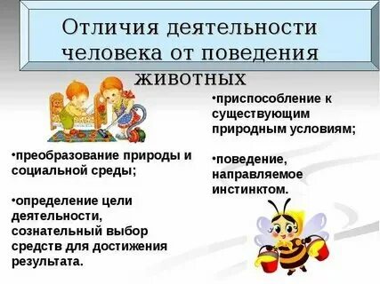 Действие отличается от поведения. Действие отличается от поведения