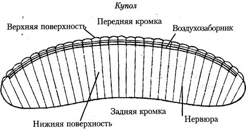 Задняя кромка
