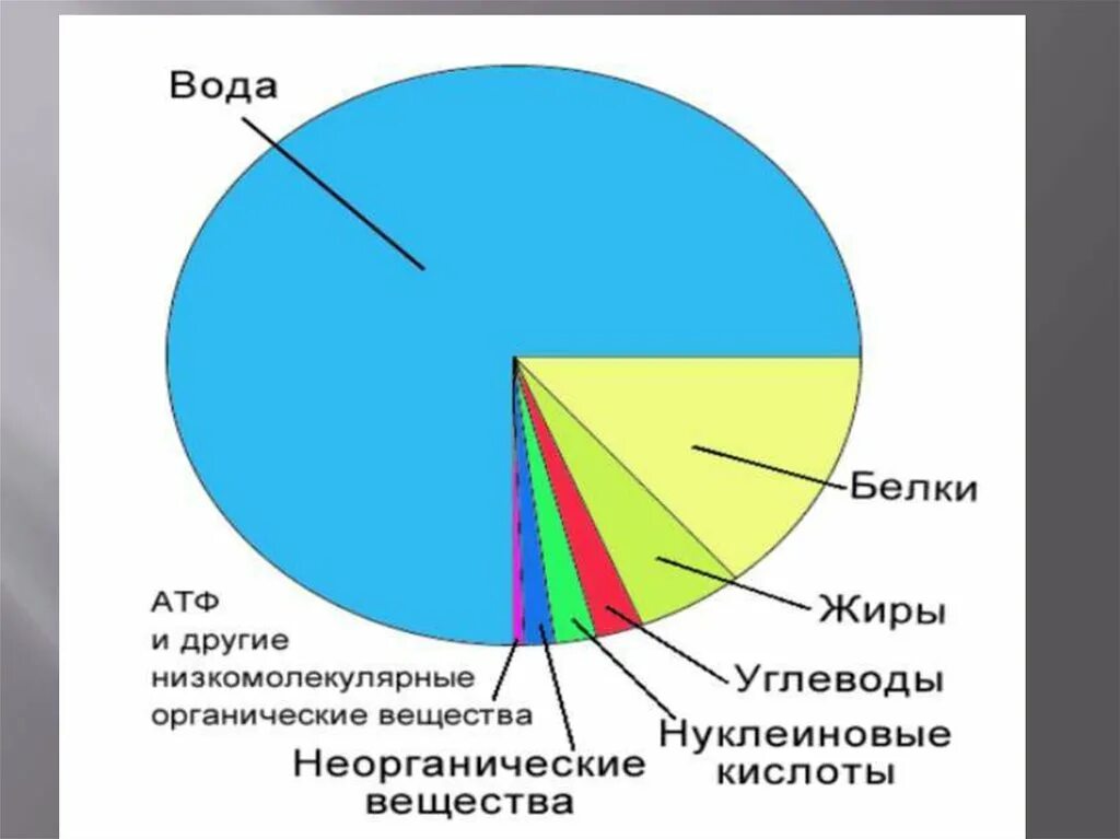 Кроме воды к неорганическим веществам относятся. Химический состав клетки. Химический состав клетки диаграмма. Химический состав клетки животного. Химический состав клетки схема.