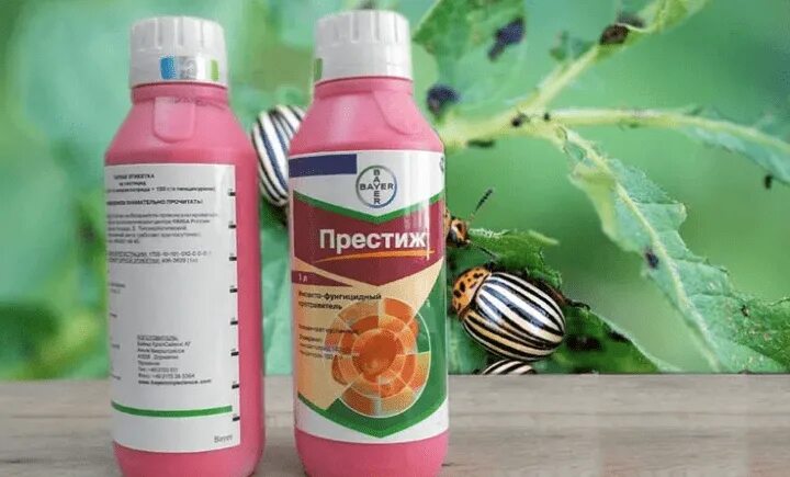 Инструкция по применению престижа для обработки