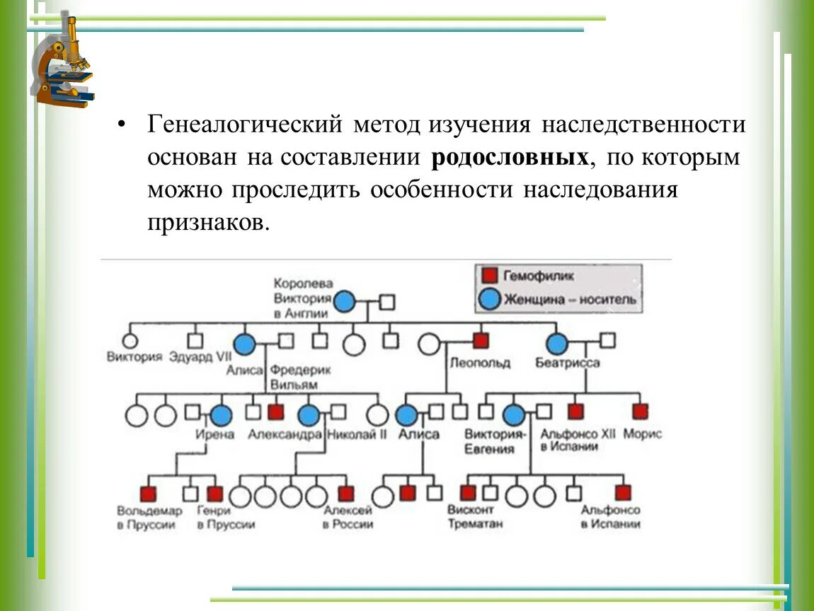 Методы изучения генетики человека генеалогический