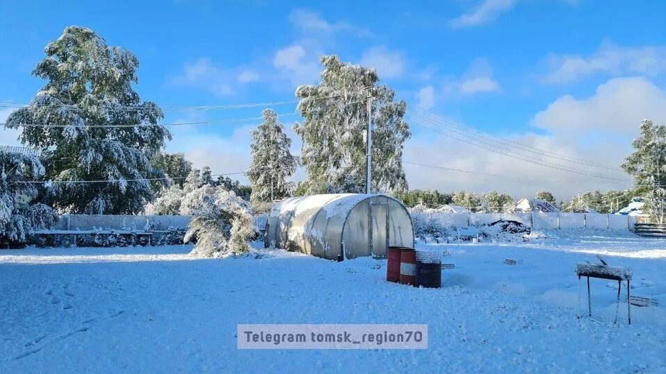 Томск выпал снег. Снежная 23. Снегопад в томске. В томске выпал снег. Томск выпал снег.