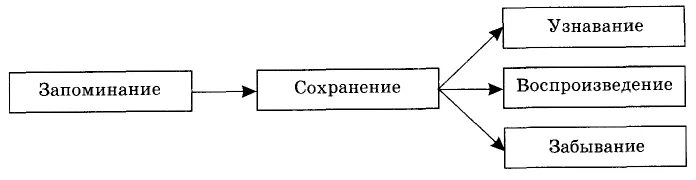 Процесс сохранения и забывания. Запоминание сохранение воспроизведение забывание. процессы памяти: запоминание, сохранение, воспроизведение, узнавание;. процессы воспроизведения и узнавания. основные процессы памяти сохранение воспроизведение забывание.