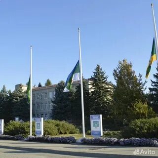 Мостовской краснодарский край приставы