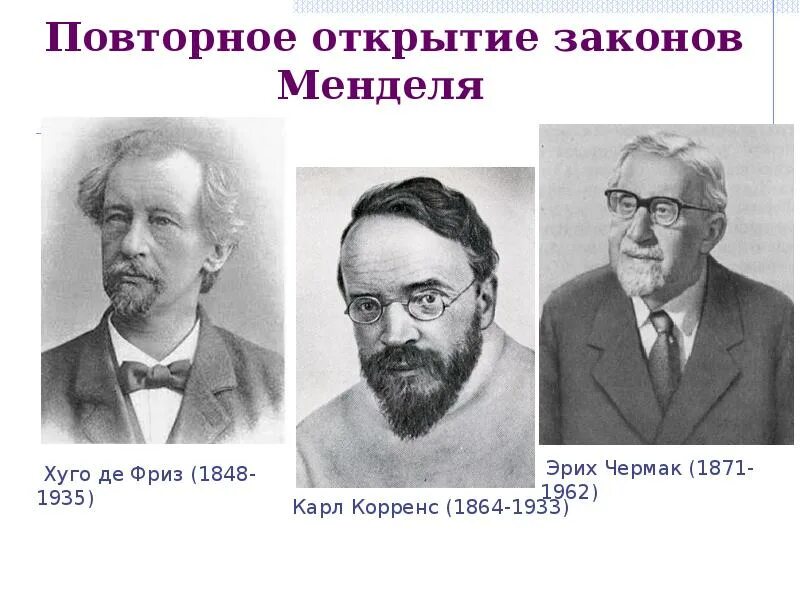 Де фриз корренс чермак. Корренс. К. Корренс, х. де фриз, э. Чермак. Эрих Чермак вклад в генетику.