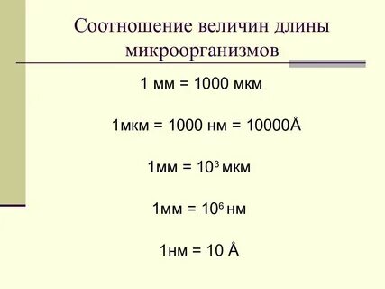 65000 мм в метрах
