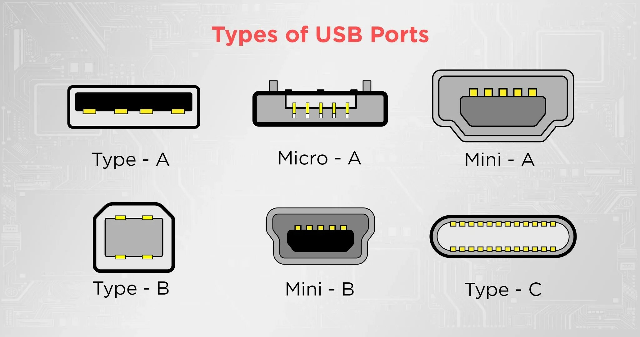 Порт usb тип а. Типы usb портов. типы usb разъемов. виды юсб портов. виды usb разъемов фото.
