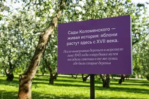 За кражу какого фрукта в коломенском