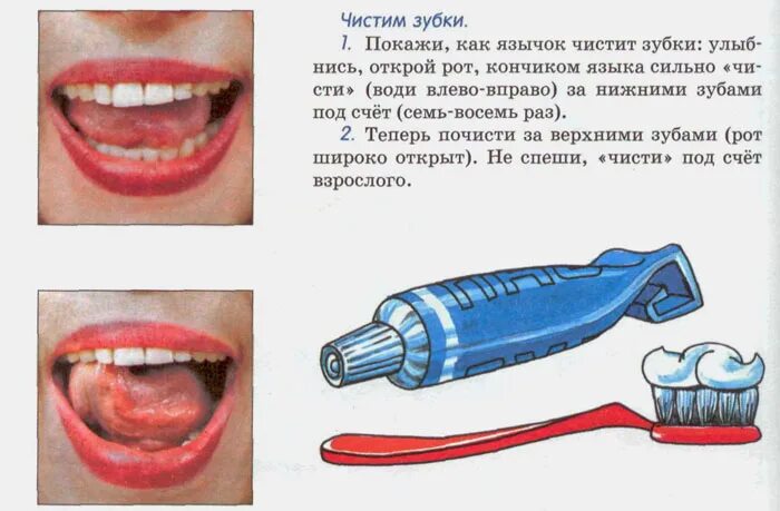 Чистим зубки артикуляционные. Артикуляционная гимнастика чистим зубки. почистим нижние зубки артикуляционная гимнастика. чистим верхние зубки артикуляционная гимнастика. чистим верхние зубы артикуляционная гимнастика.