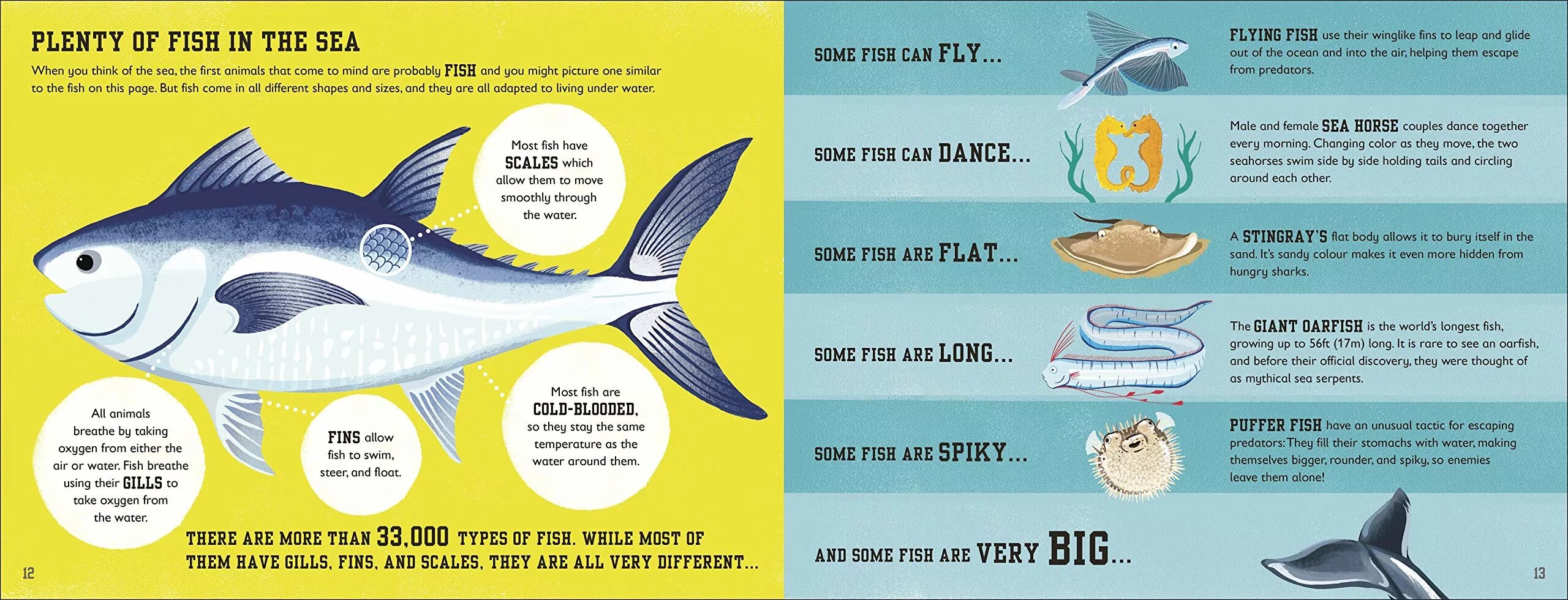 There are some fish. There are some fish