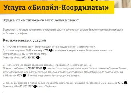 Узнать местоположение номера телефона билайн