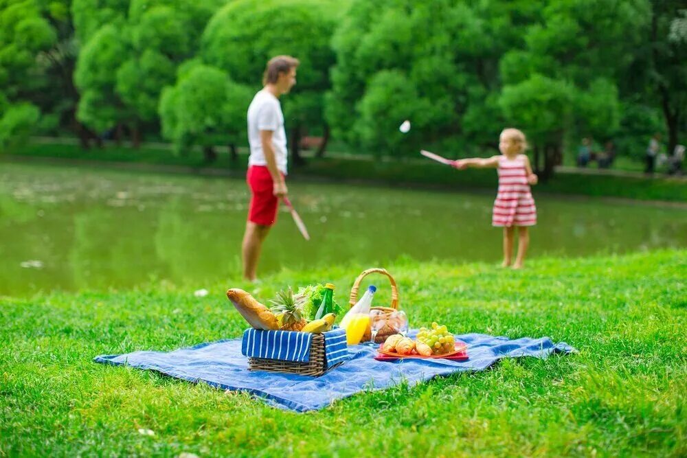 Пикник озон. Семейный пикник. Летний пикник на природе. Семья на пикнике. Летний пикник.