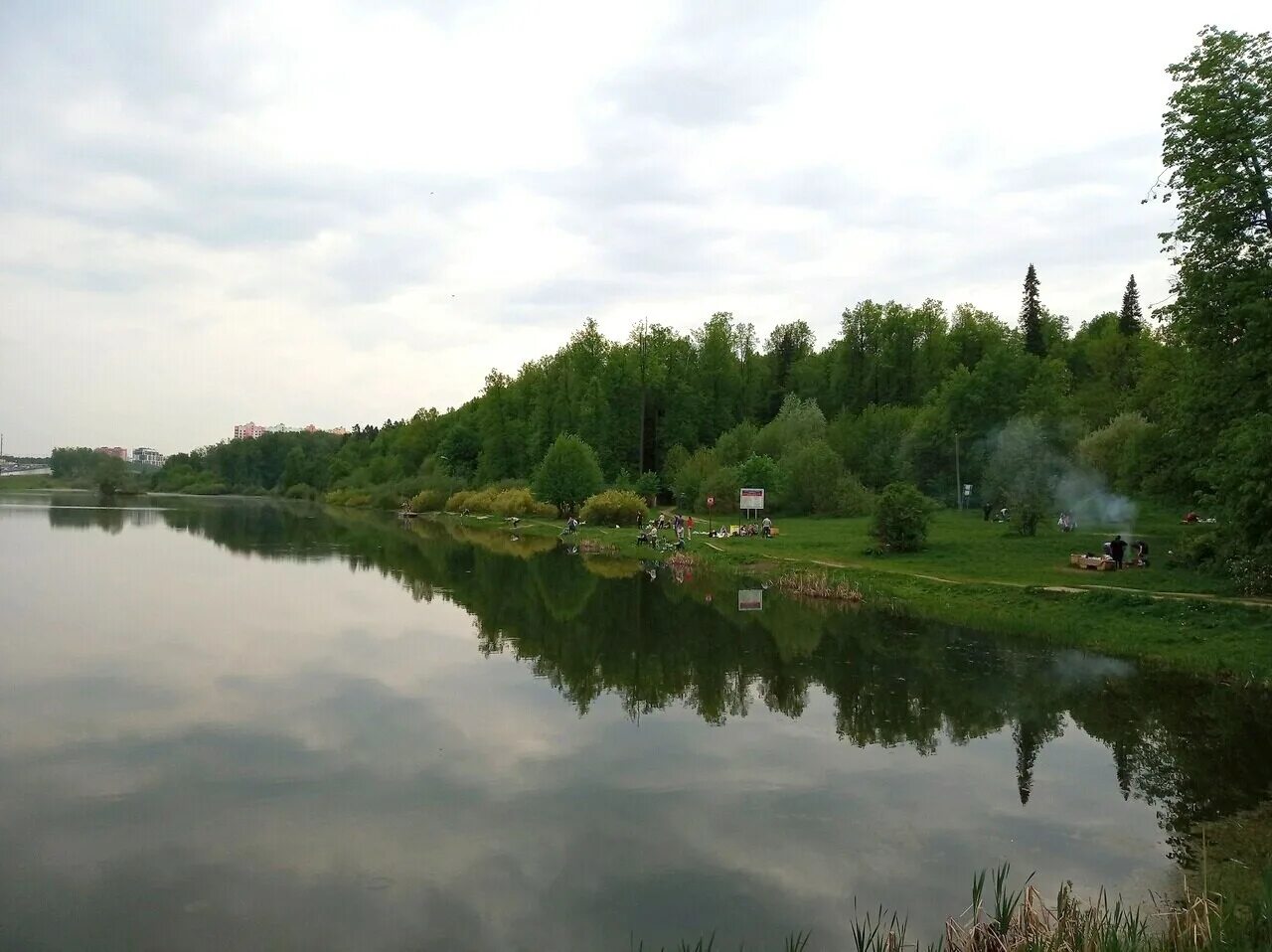 Заказник долгие пруды в северном. Долгие пруды долгопрудный. Долгие пруды долгопрудный. Парк долгие пруды дмитровское шоссе. Долгие пруды фото.