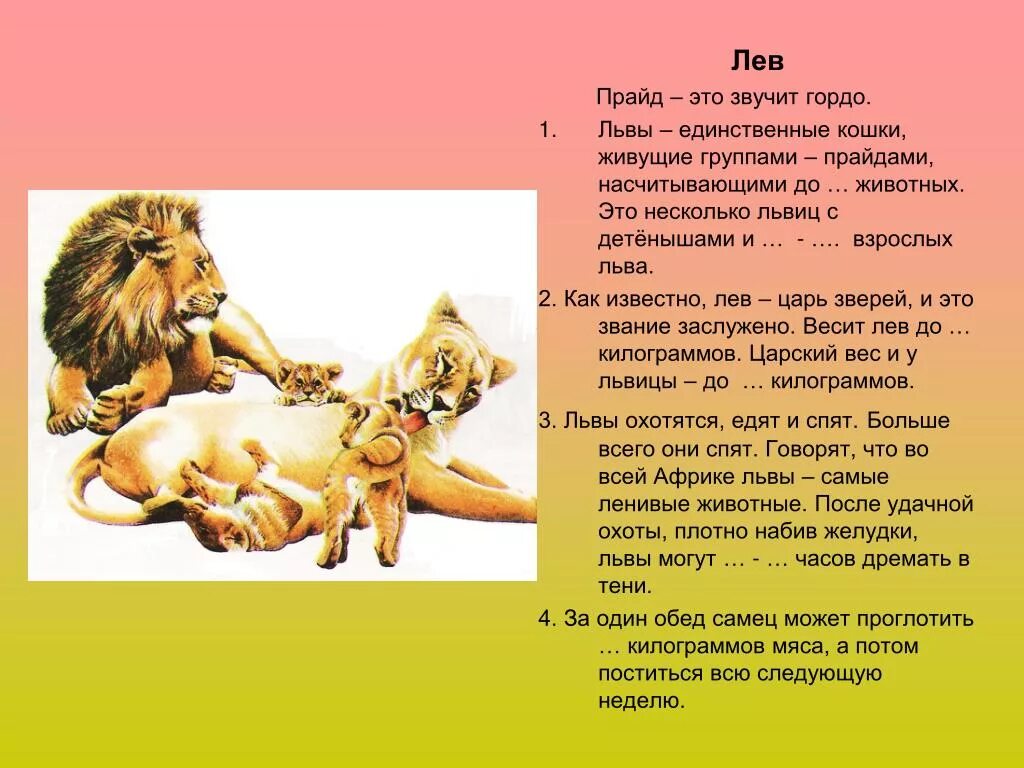 Почему Лев Король животных. Почему Лев царь. Почему Льва называют царем животных. Почему Льва называют царём. Лев сколько кг