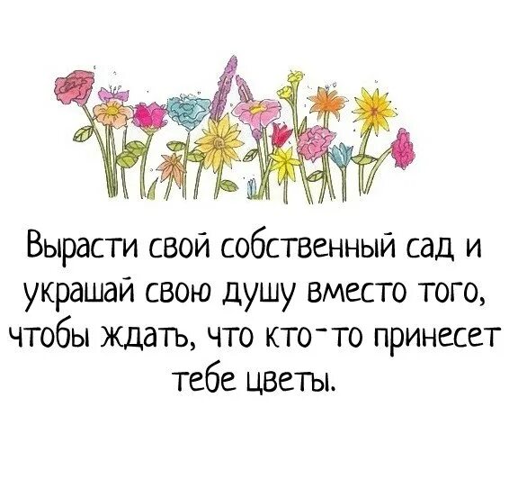 Все в сад фраза. Вырасти свой собственный сад и украшай свою душу. Посади свой сад и Укрась свою собственную душу. Посади в своей душе цветы. Вместо кого то кто принесет вам цветы.