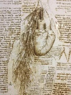Da vinci текст kai