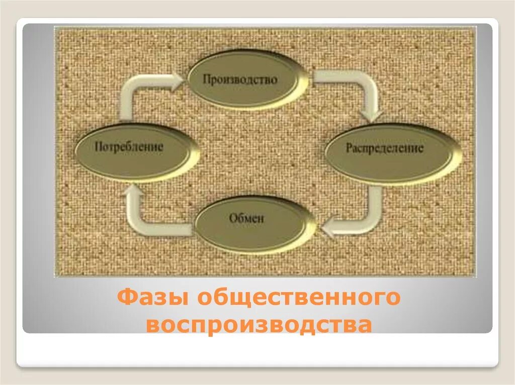 Изучает производство обмен. Процессами производства, распределения, обмена и потребления. Фазы общественного воспроизводства. Цикл воспроизводства в экономике. Основные фазы цикла общественного воспроизводства.