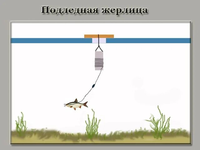 Сколько жерлиц можно ставить в 2025 году. Подледные жерлицы. схема жерлицы на щуку. монтаж подледной жерлицы. подледные жерлицы на щуку.