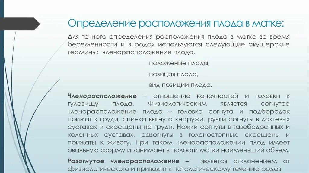 Определение точного местоположения. Определение расположения плода. определение расположения плода в полости матки.