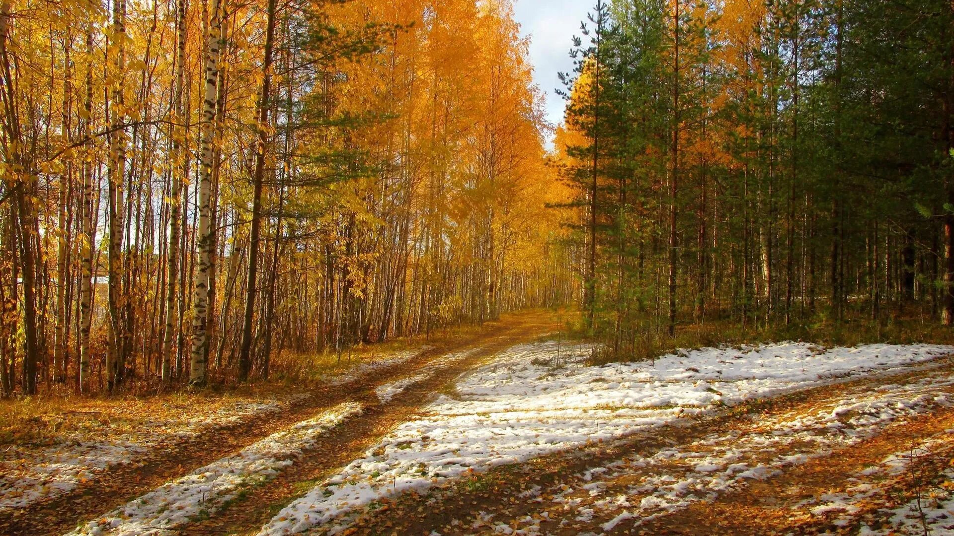 Поздней осени какое число. Поздняя осень. Карелия первый снег. Картинки октябрь природа. Поздняя осень день Россия.