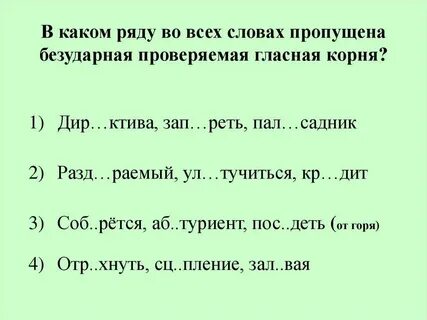Палисадник безударная гласная в корне