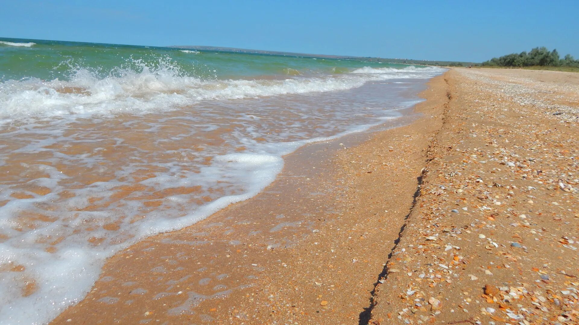 Голубицкая коса Азовское море. Пляж Голубицкая Азовское море. Пляж морской Бриз в Голубицкой. Голубицкая пляжи 2022. Азовское море для детей