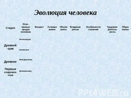 Этапы эволюции человека таблица