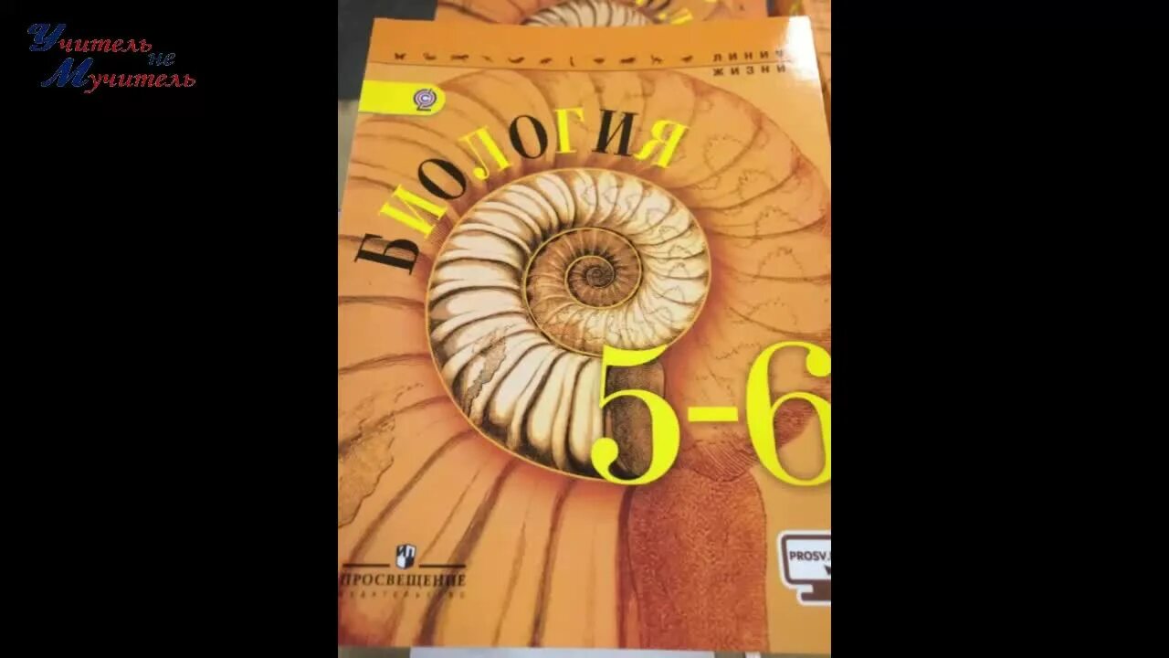 Таблица по биологии 5 класс. Биология 5 класс пар 23. Биология 5 класс учебник ответы. Биология 5 класс пар 23. Биология 5 класс пар 23.