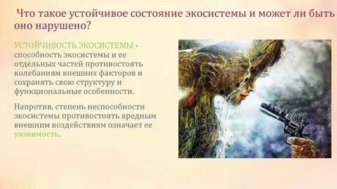 Устойчивое воздействие