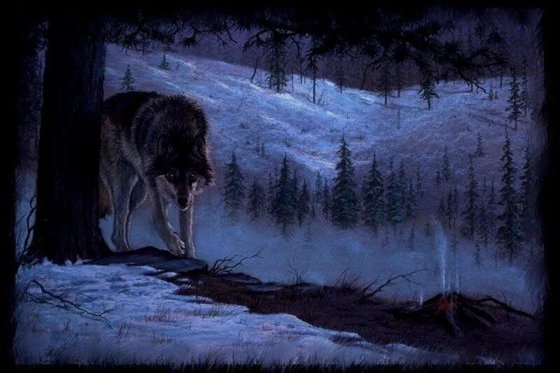 Волк в ночном зимнем лесу. Волк в лесу ночью. Волк в ночи. Волки зимой в лесу ночью.
