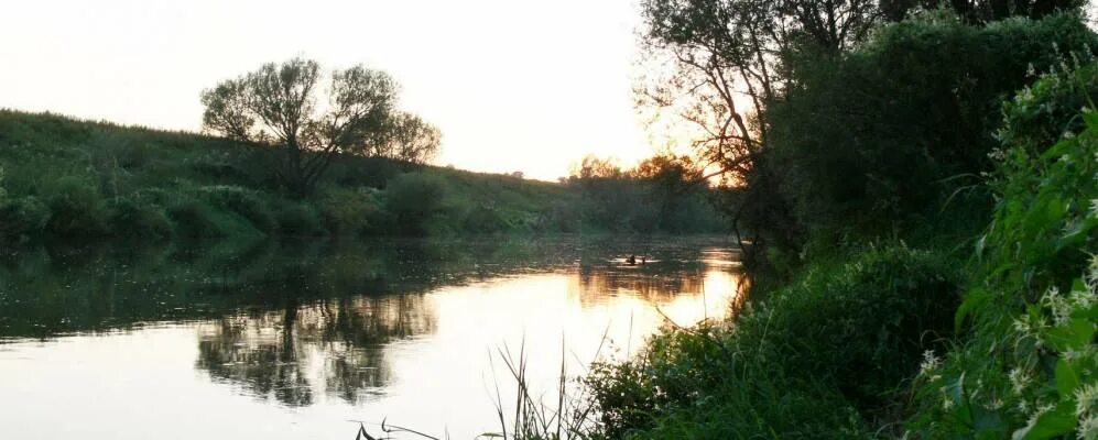 Деревня дубрава арсеньевского района тульской области фото