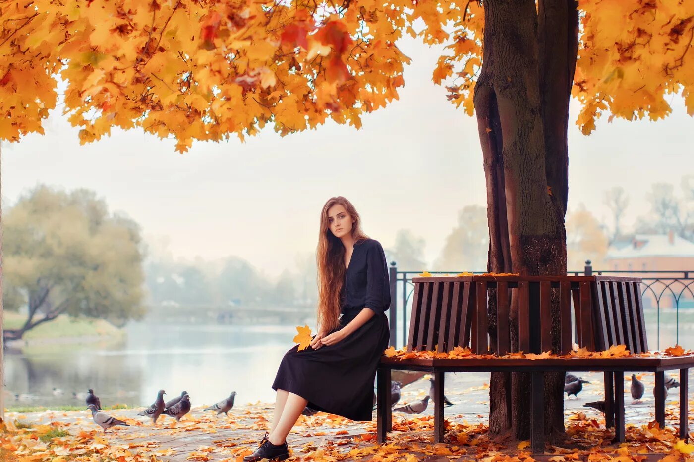 Размышления осени. Осеннее настроение. Осеннее настроение картинки. Осенняя фотосессия на лавочке. Моя осень.