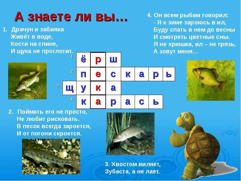 Слушал сказку про рыбу солнце сканворд 4. Слушал сказку про рыбу солнце сканворд 4. Аудиосказка о рыбаке и рыбке. Текст песни рыба солнце. Сказка о рыбаке и рыбке картинки.