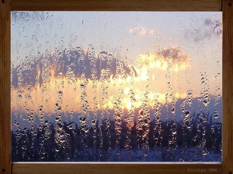 Если ночью дождь напролет утром ярче заря. Дождик. Дождь в окне. Весенний дождь.