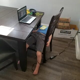 Жизнь под столом