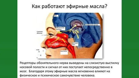 Как влияет масло