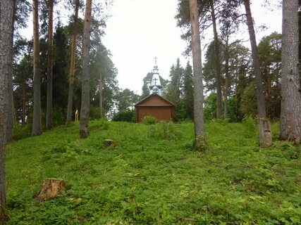 Борок вологодская область