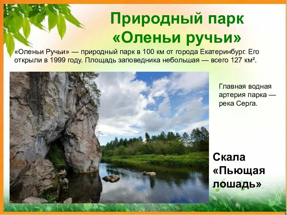 Значение природных парков