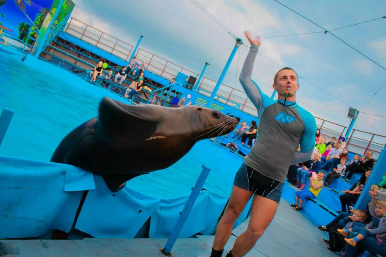 Жизнь в новороссийске отзывы. Дельфинарий Новороссийск. Дельфинарий Sea Life. Дельфинарий Новороссийск пляж Алексино.