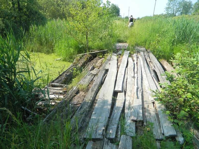 Сад гать. Степной лесхоз. Сад гать. Лесная гать тверская область. Город гать чехия.