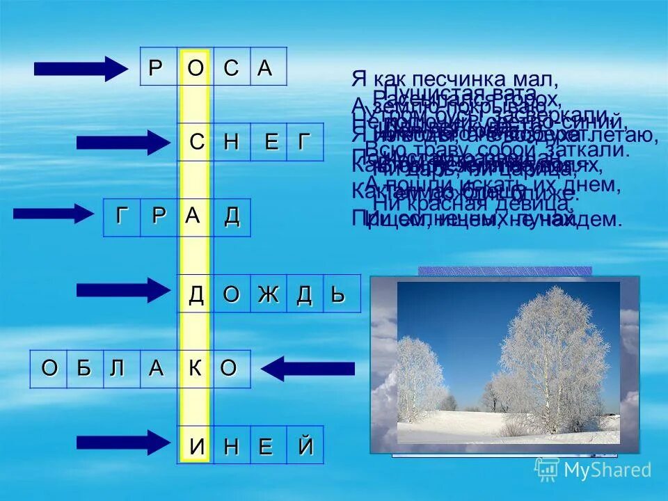 Самый мелкий дождь кроссворд. Кроссворд про природу для детей. Кроссворд по теме явления природы. Кроссворд с вопросами. Техногенные и природные катастрофы кроссворд.