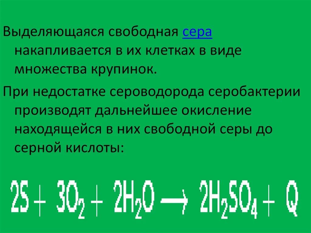 Свободная сера. Сколько энергии выделяется в год при хемосинтезе.