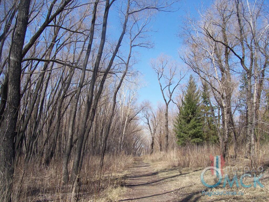 Городе омск апрель. Весна в омской области. апрель фото. омск весной. апрель омск.