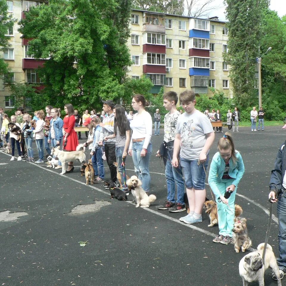 Собака в МГТУ. Центре собаководства «фрэнд». Выставка собак Тамбов 2020-.