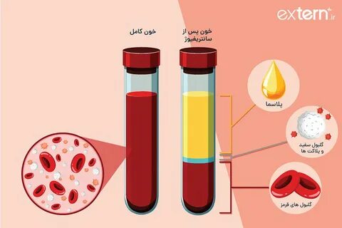 RBC در آزمایش خون چیست. 