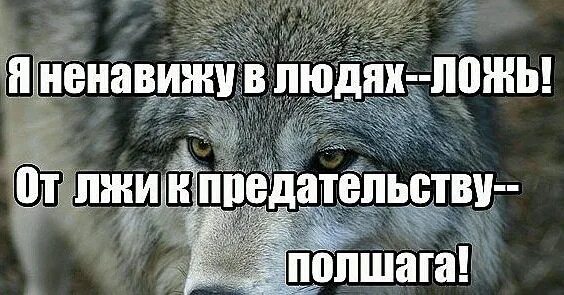 Невыносимо жгло ненавидящий ложь никем. Ненавижу ложь. Ненавижу предательство и ложь. Я ненавижу ложь и предательство. Ненавижу вранье картинка.