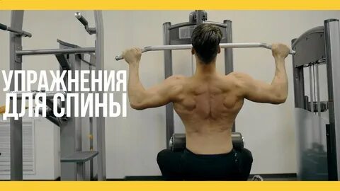 Тренировка для спины в зале