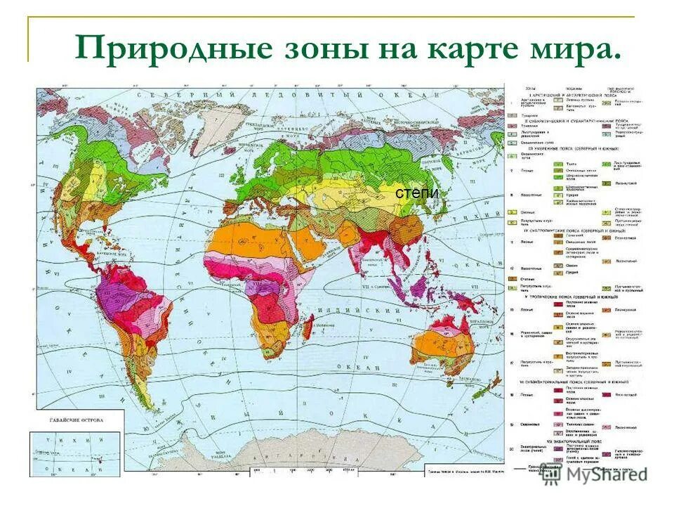 Выберите особенности характерные для природной зоны