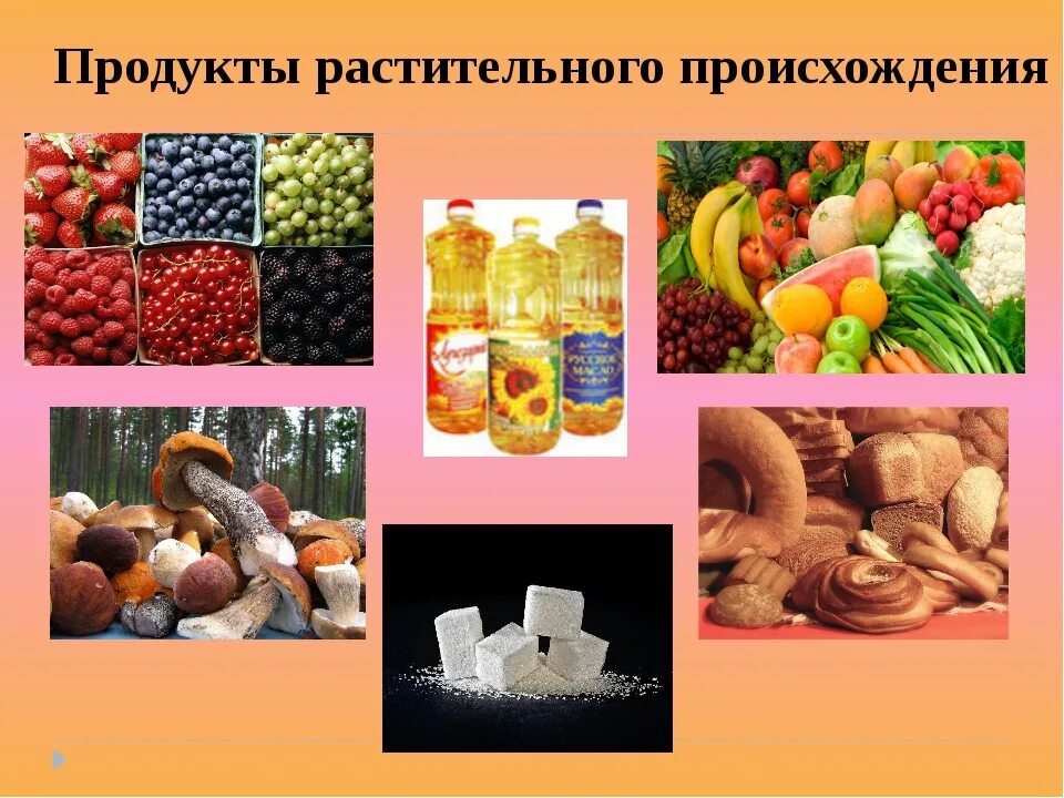 Технология продуктов питания из растительных. Продукты растительного происхождения. Продукты питания растительного происхождения. Растительное происхождение. Пищевые продукты растительного происхождения.